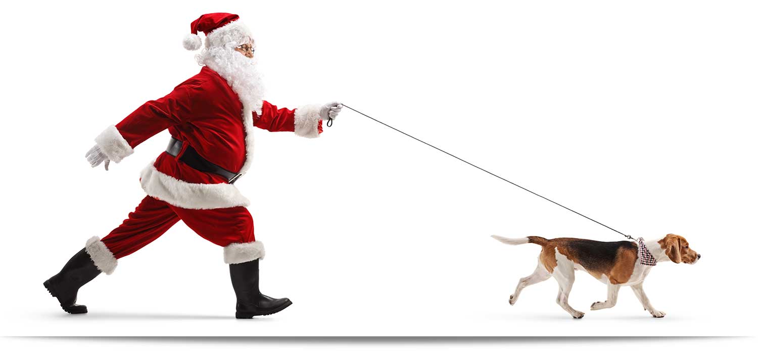 Papá Noel paseando a un perro