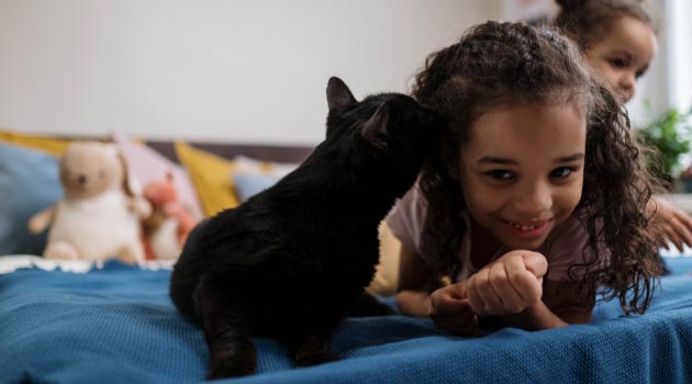 Un pequeño gato negro olfateando curiosamente la cabeza de una niña.