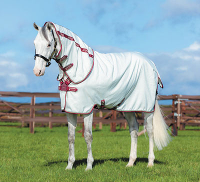 A white horse wearing an Amigo Aussie All-Rounder Fly and UV Sheet in White Green, and Burgundy