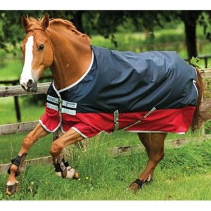 Amigo Mio Medium Turnout Blanket