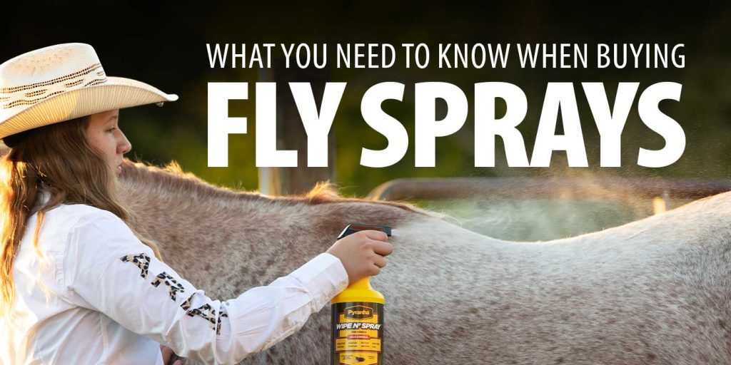 What You Need to Know When Buying Fly  Sprays