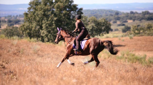 Una niña montando un caballo castaño mientras lleva puesto un casco.