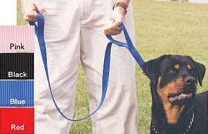 Grrrip Big Dog Leash