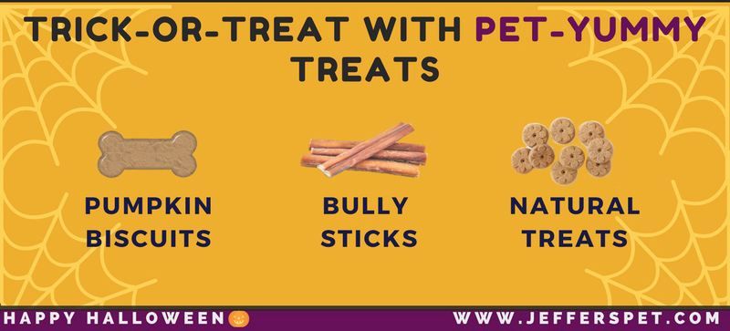 halloween-pet-safety-infographic