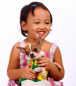 niña feliz sosteniendo y abrazando a su mascota chihuahua