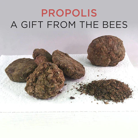 Propolis a gift from the bees Alise Body Care.