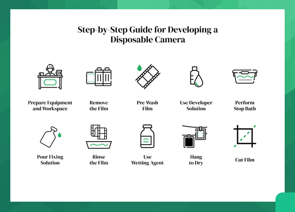 Guide to Disposable Cameras: Developing & How They Work