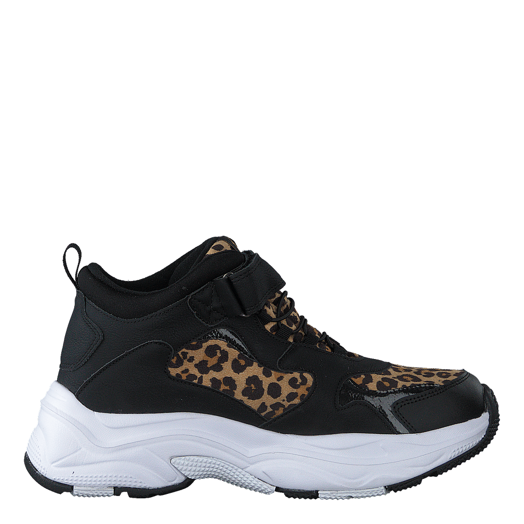 Narken Leopard – 