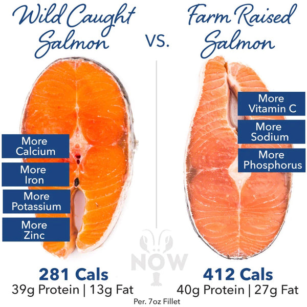 Wild-Caught Salmon Comparison