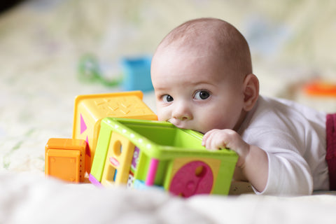 Baby bites plastic toy while laying on his stomach