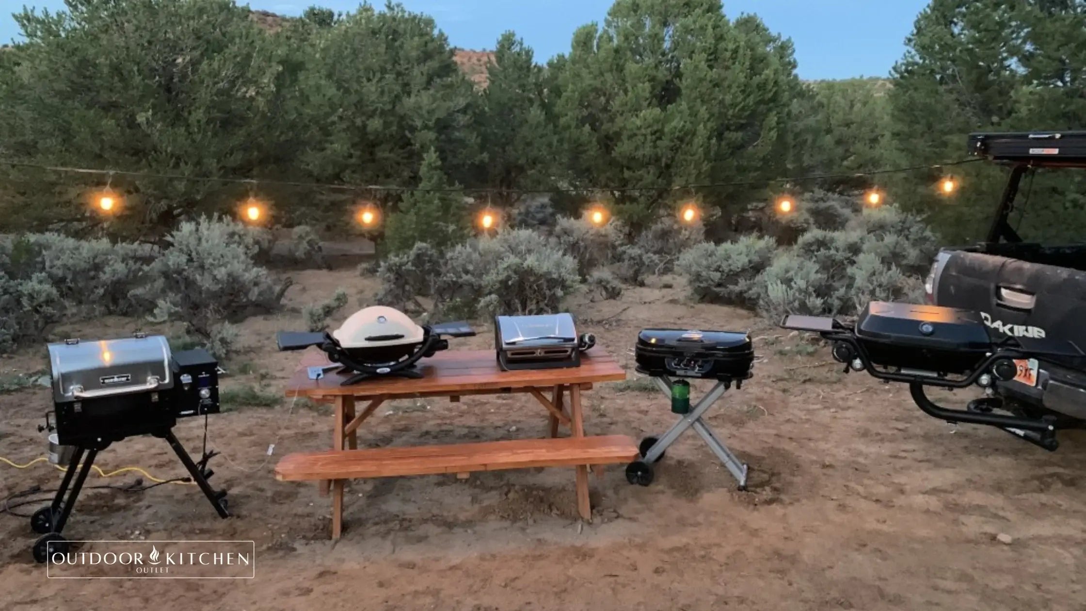 Comparing Different Types of Portable Propane Grills