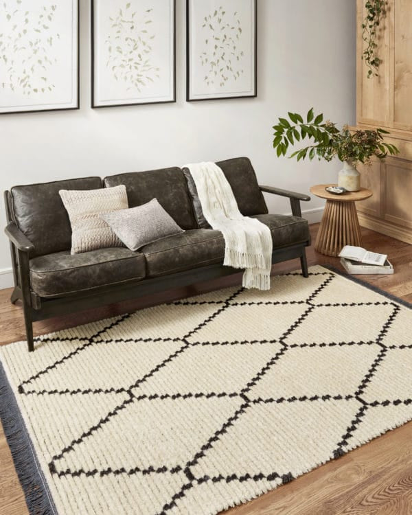 Alice ALI-04 Area Rug in Cream/Charcoal