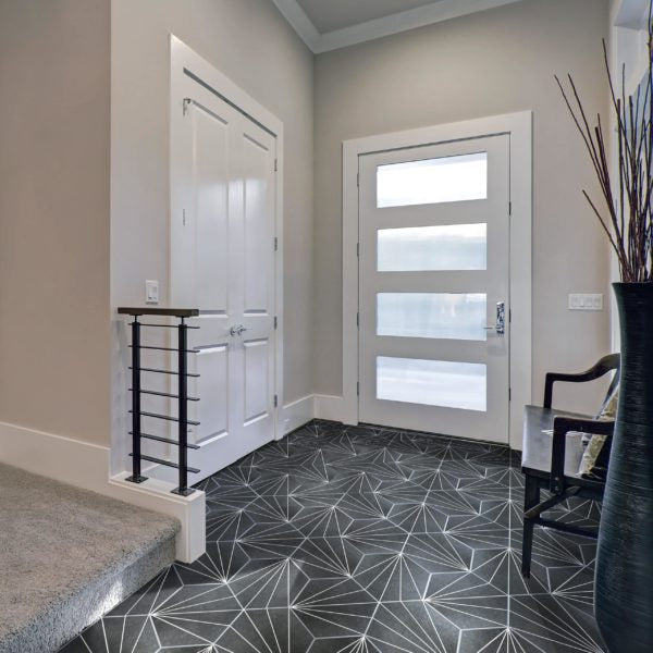 modern house entryway featuring Aster Hex 8 5/8 x 9 7/8 Patterned Tile in Nero on the floors