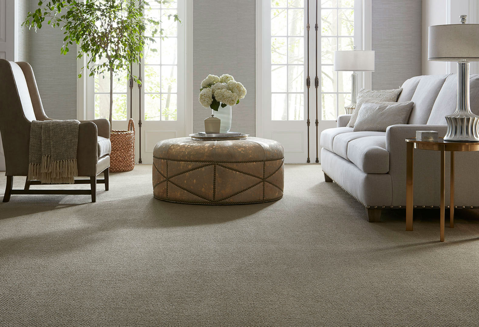 Living Room carpet 