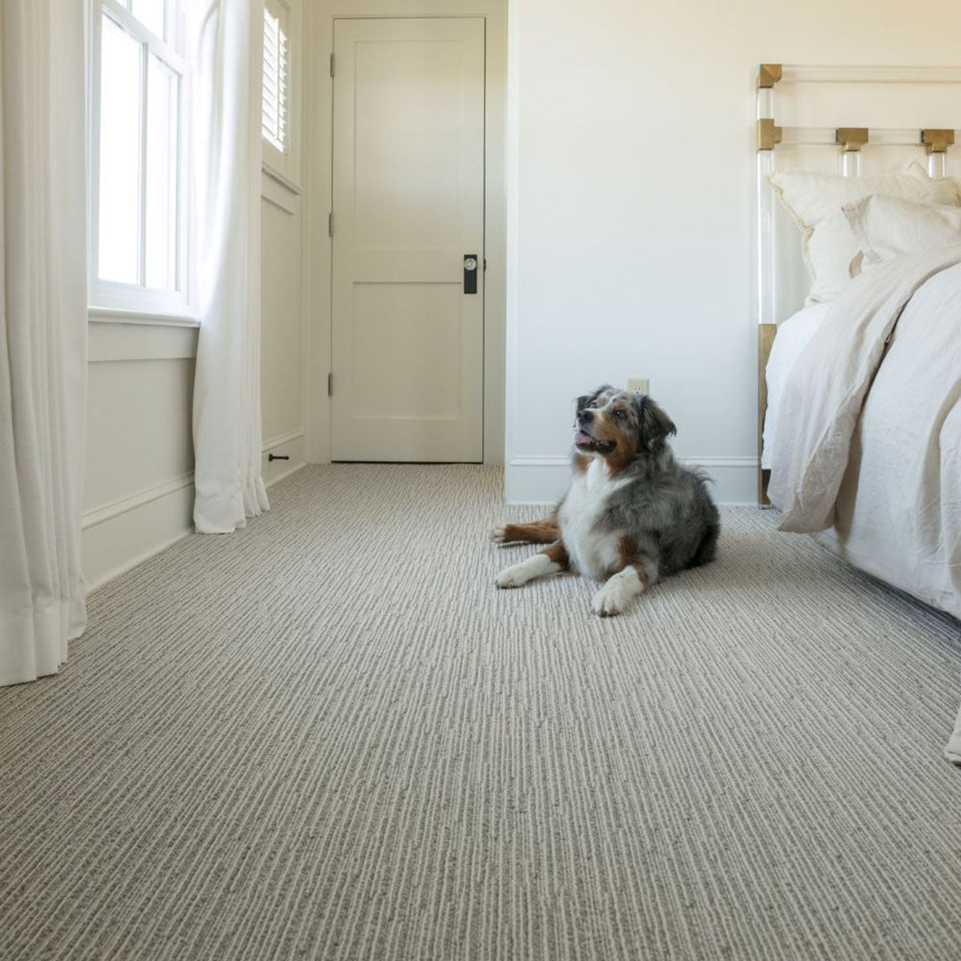 Briarwood Chase Pet Friendly Carpet on Bedroom Floor with Dog