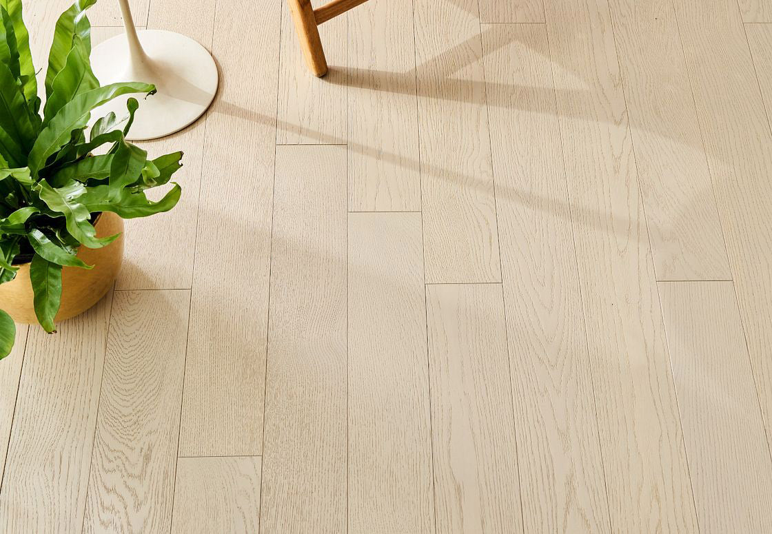 Commercial Hardwood Floor with Plant