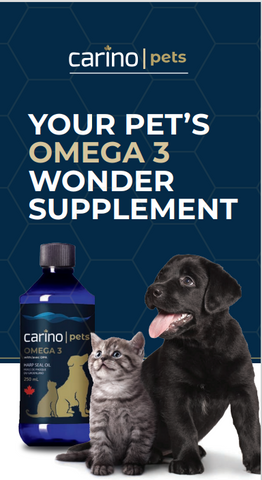 Omega-3 for you pets