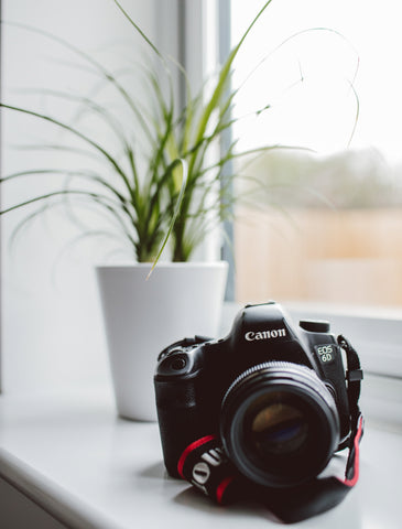 camera on a table with a potted plant