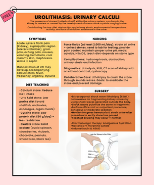 urinary calculi nursing school notes nursing school study guides