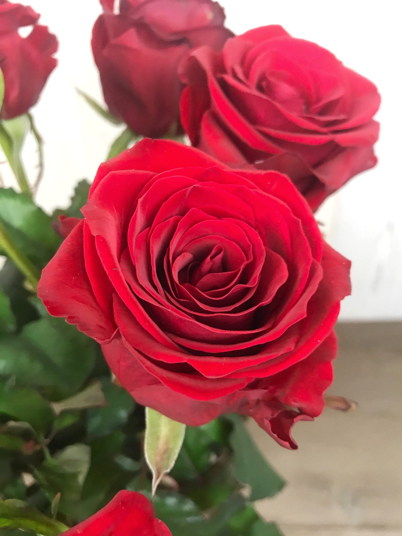 Envoi bouquet de roses rouges - Bouquet de 10 Roses Rouges | Fleuriste à  Ferney Voltaire | Livraison partout en France – malvarosaflowers