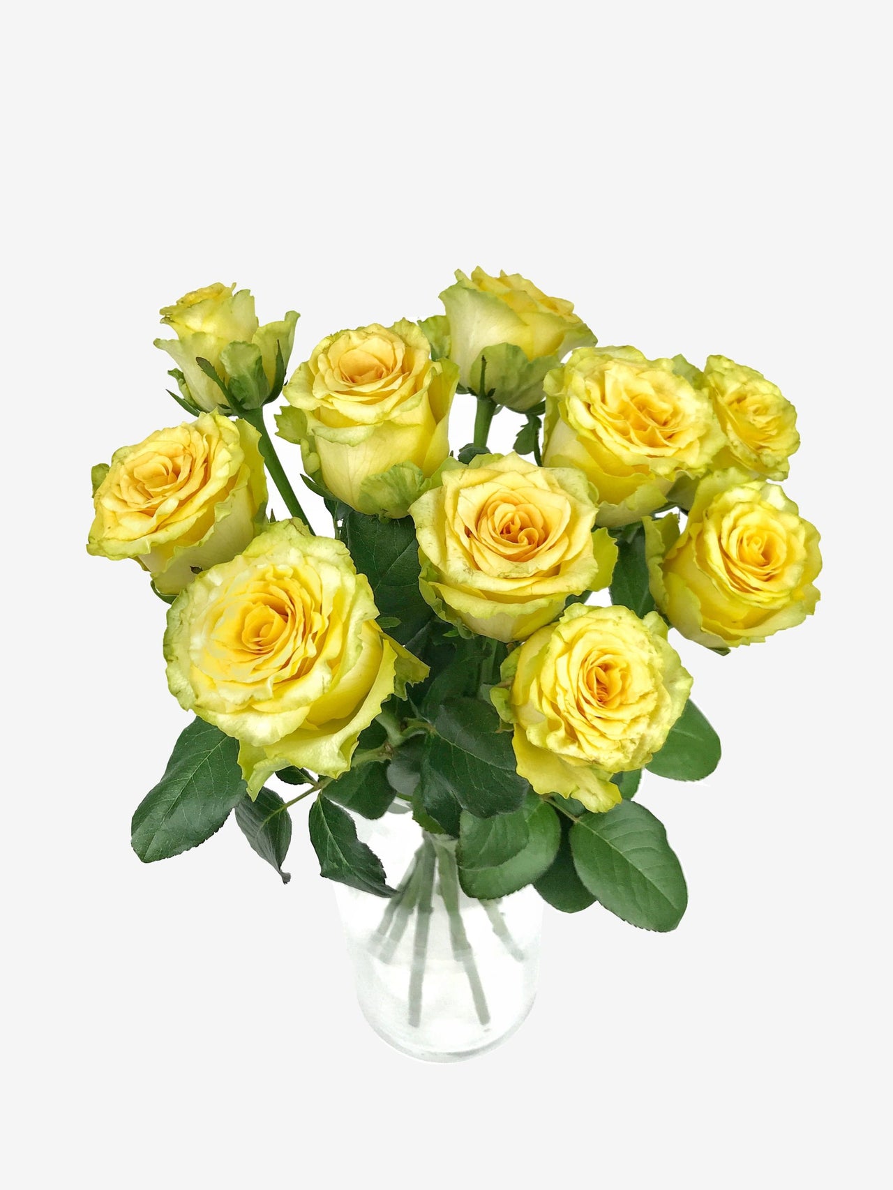 Bouquet de 10 Roses jaunes | Fleuriste à Ferney Voltaire | Livraison  partout en France – malvarosaflowers