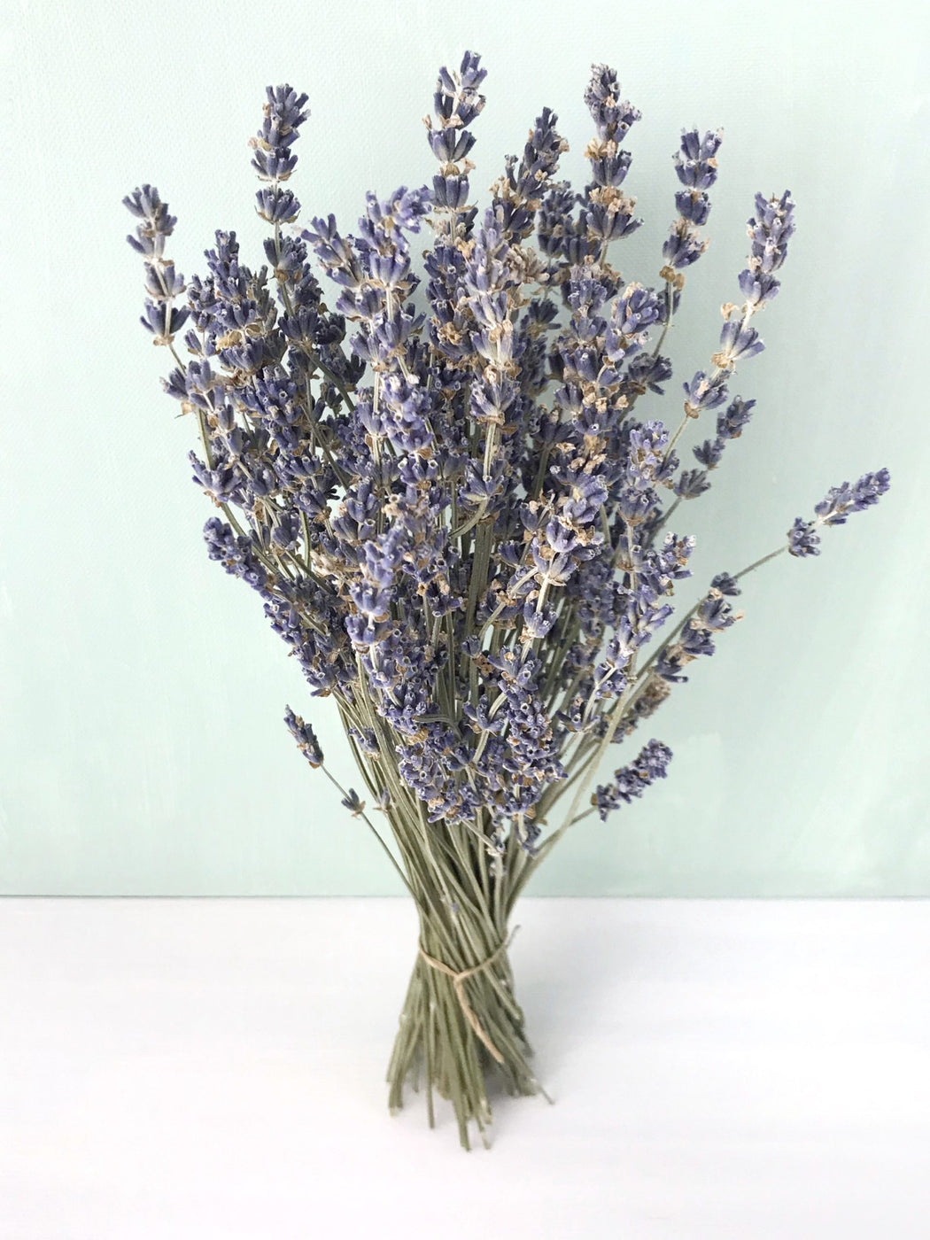 Bouquet de lavande séchées - Bouquet « Lavande » | Fleuriste à Ferney  Voltaire | Livraison partout en France – malvarosaflowers