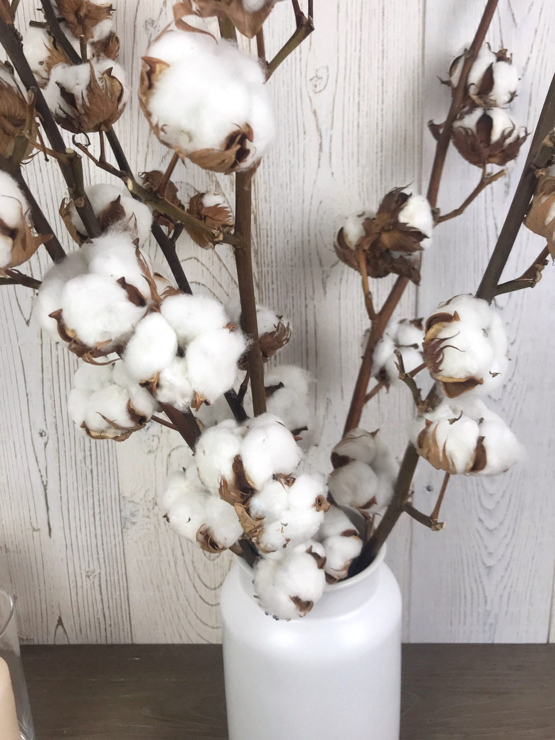 Fleurs séchées de coton à la tige, tige de fleurs de coton séchées naturelle,  branches de coton naturel | Fleuriste à Ferney Voltaire | Livraison partout  en France – malvarosaflowers