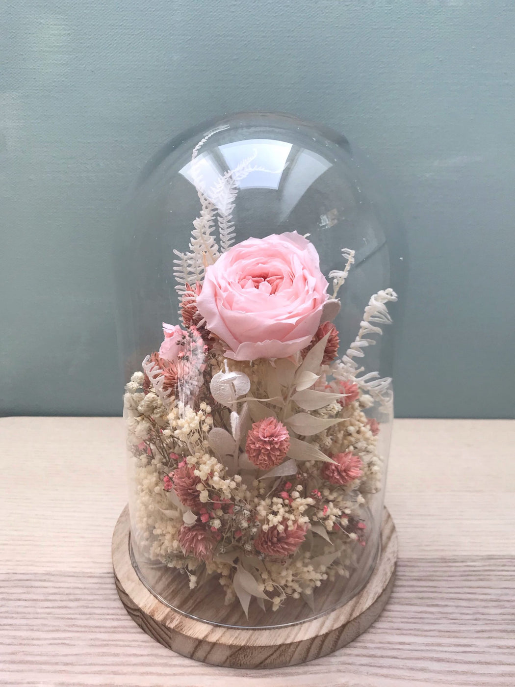 Cloche de fleurs séchées avec rose anglaise stabilisée rose | Fleuriste à  Ferney Voltaire | Livraison partout en France – malvarosaflowers