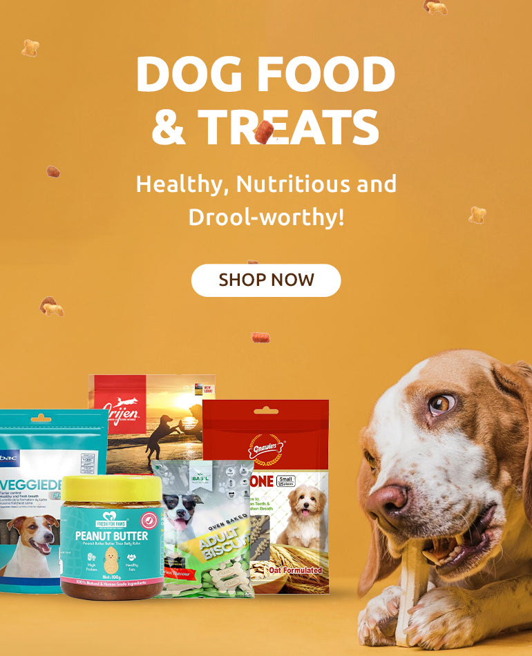 Dog food and treats