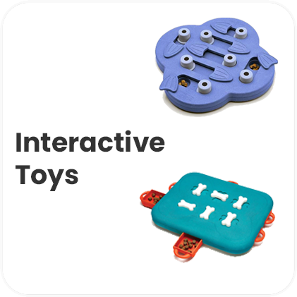 Interactive Toys/