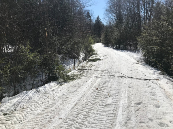 Cleared Driveway in the Snow by a Lane Shark Cutter