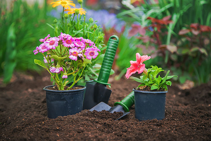 Plantar flores en el jardín.