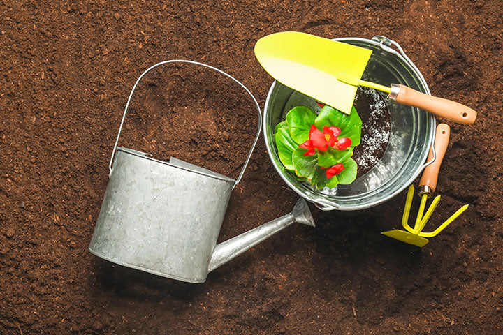 What You Need To Know About Soilless Potting Mix