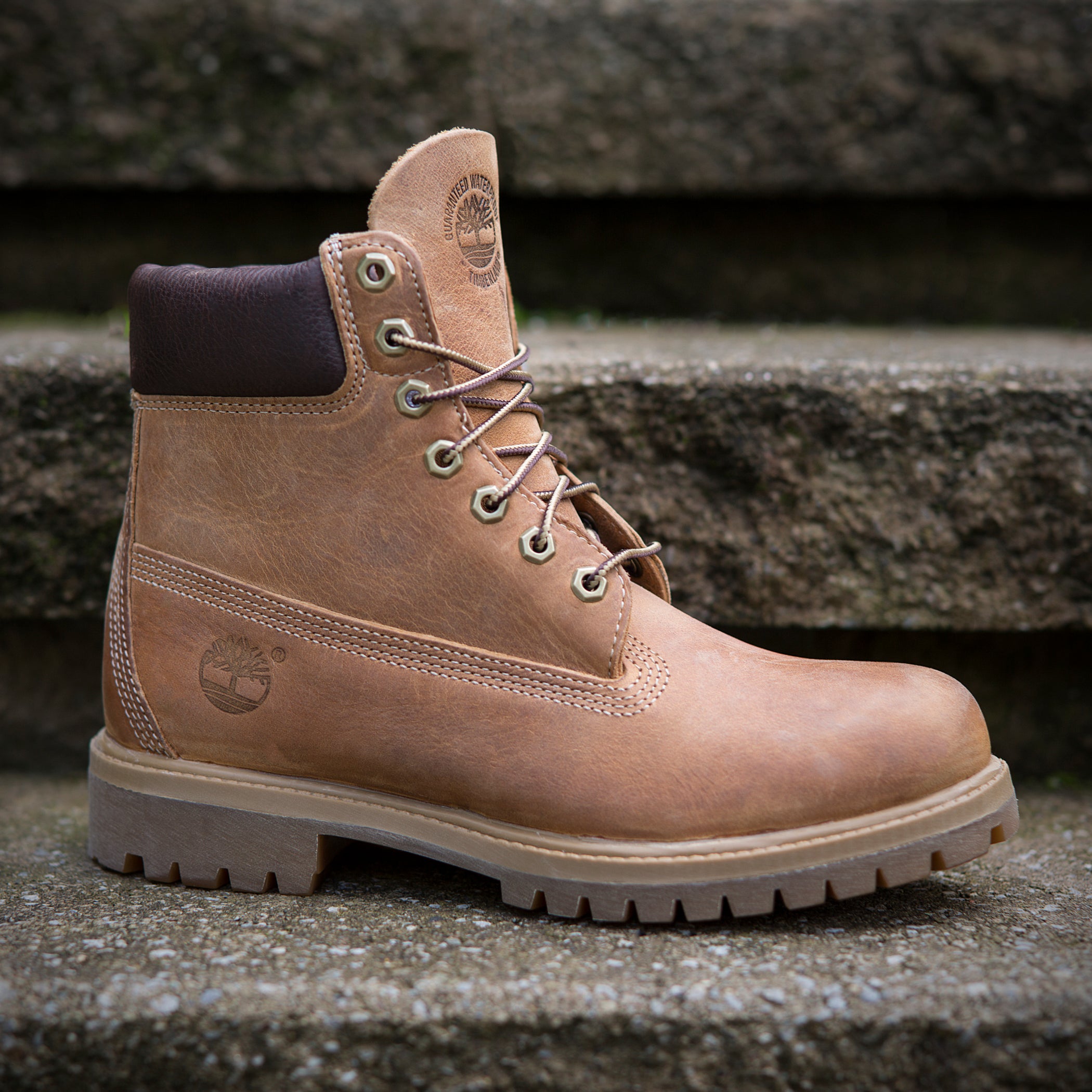 timberland wheat burnished full grain