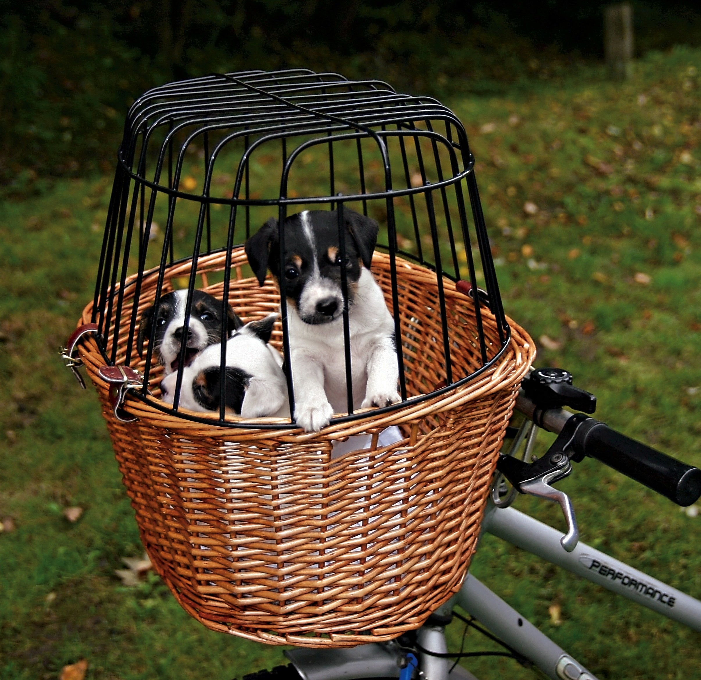 Cos de bicicleta pentru caini din nuiele 44x48x33 cm