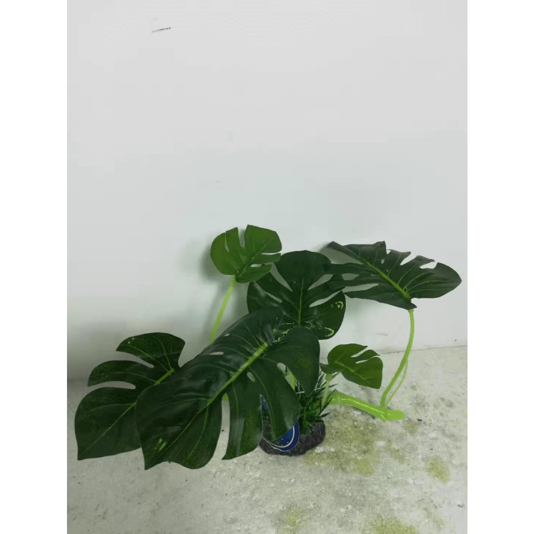 Decor pentru acvariu Enjoy Planta plastic 17x20cm 76001