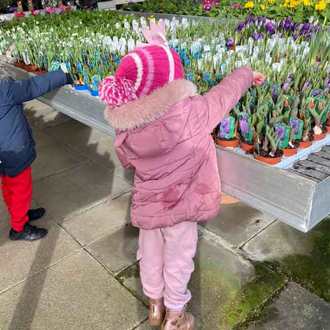 girl in pink coat and hat picking spring flowering bulbs to plant