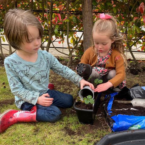 Young children planting small planters with strawberry plants