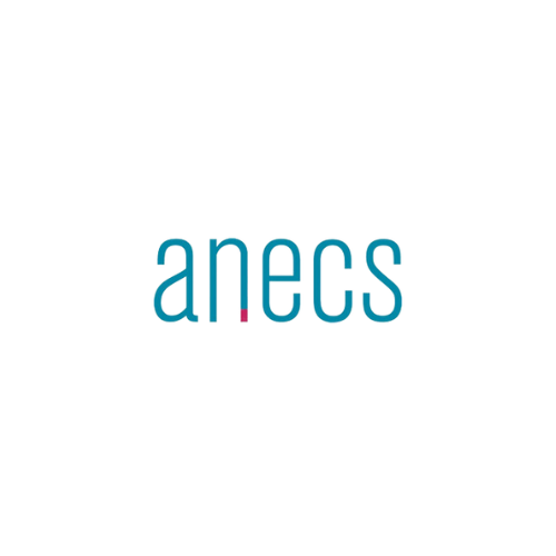 Logo de l'ANECS - Association Nationale des Experts-comptables et Commissaires aux comptes Stagiaires