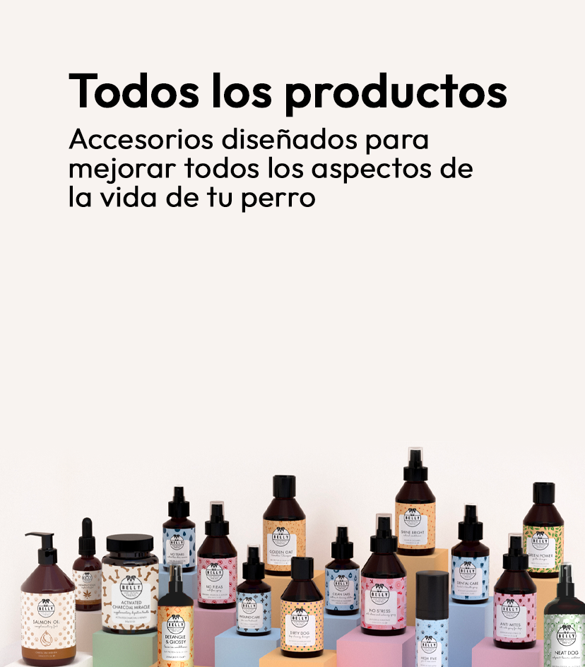 Todos los productos