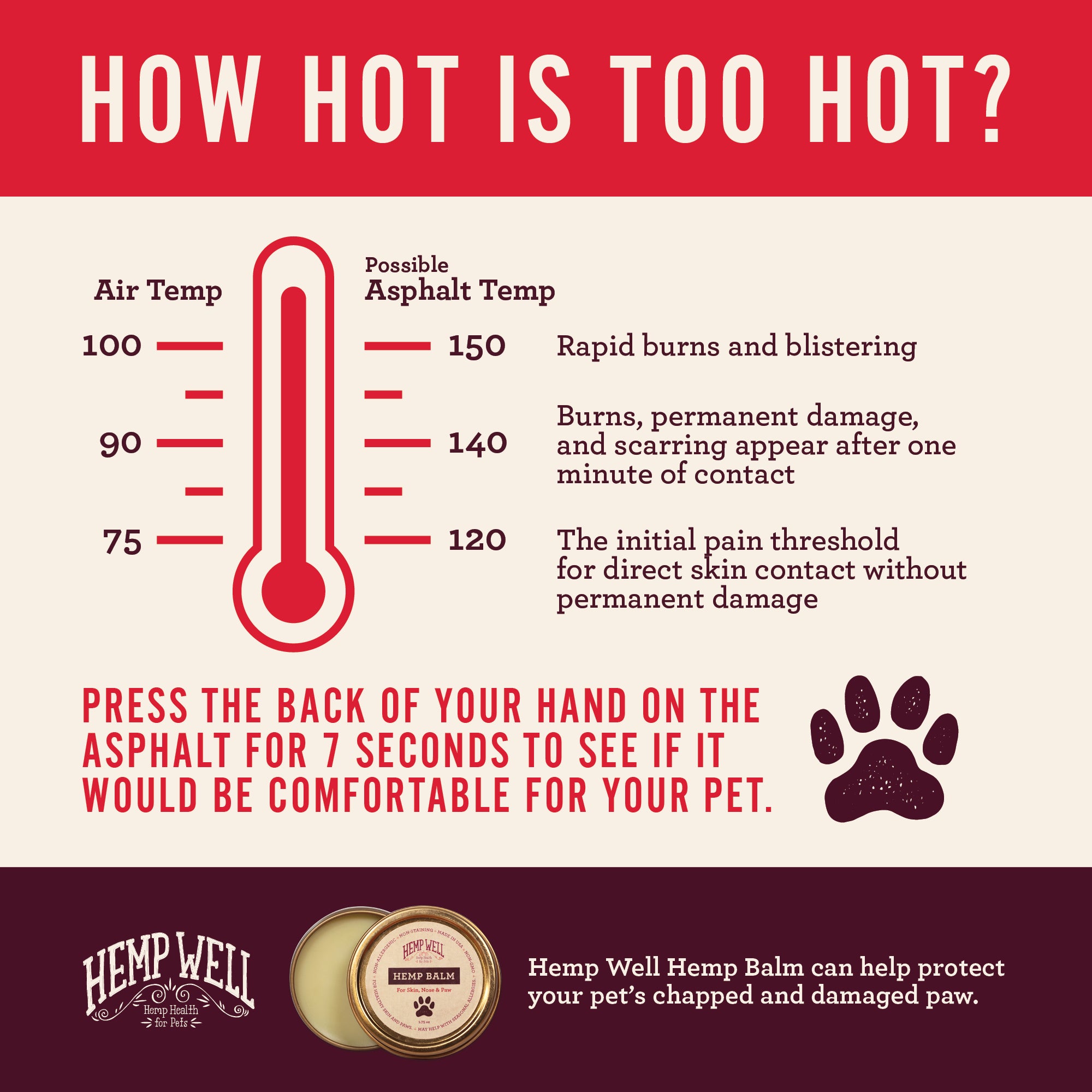 Protect Your Dog's Paws From Hot Pavement