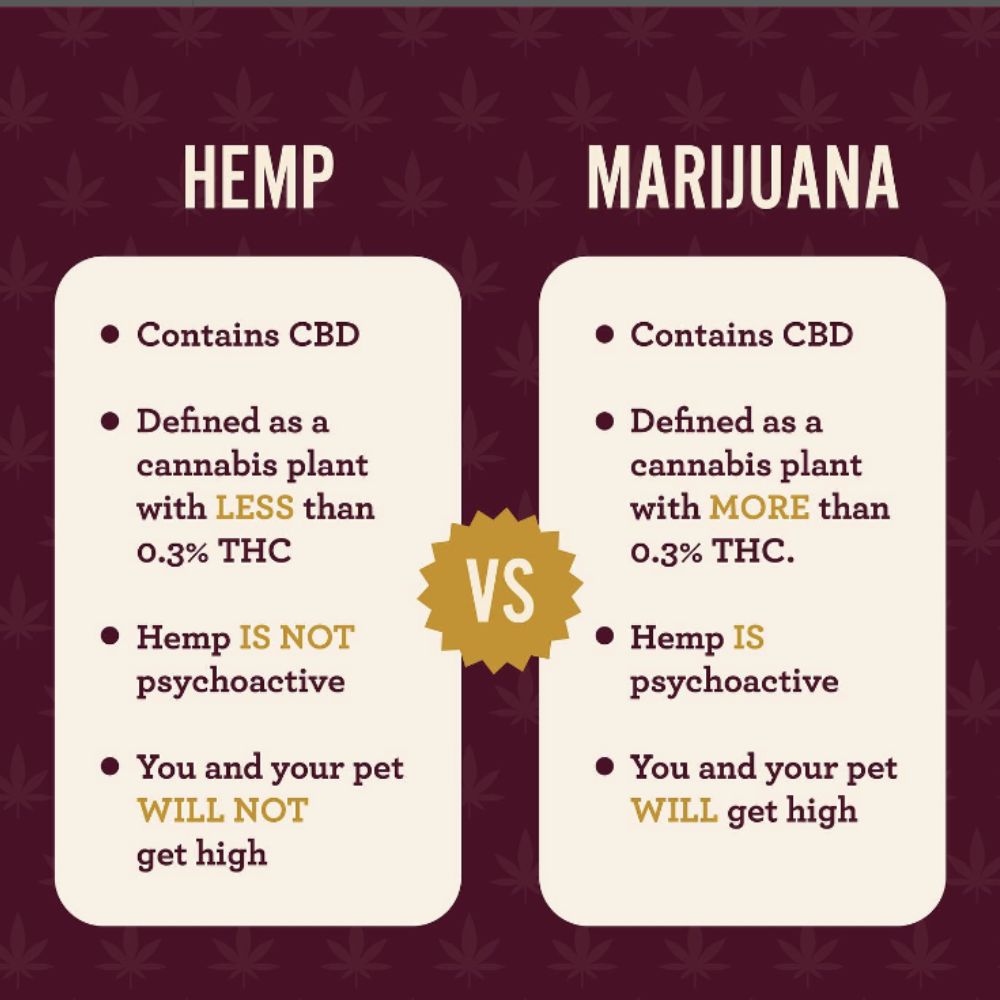 CBD versus thc