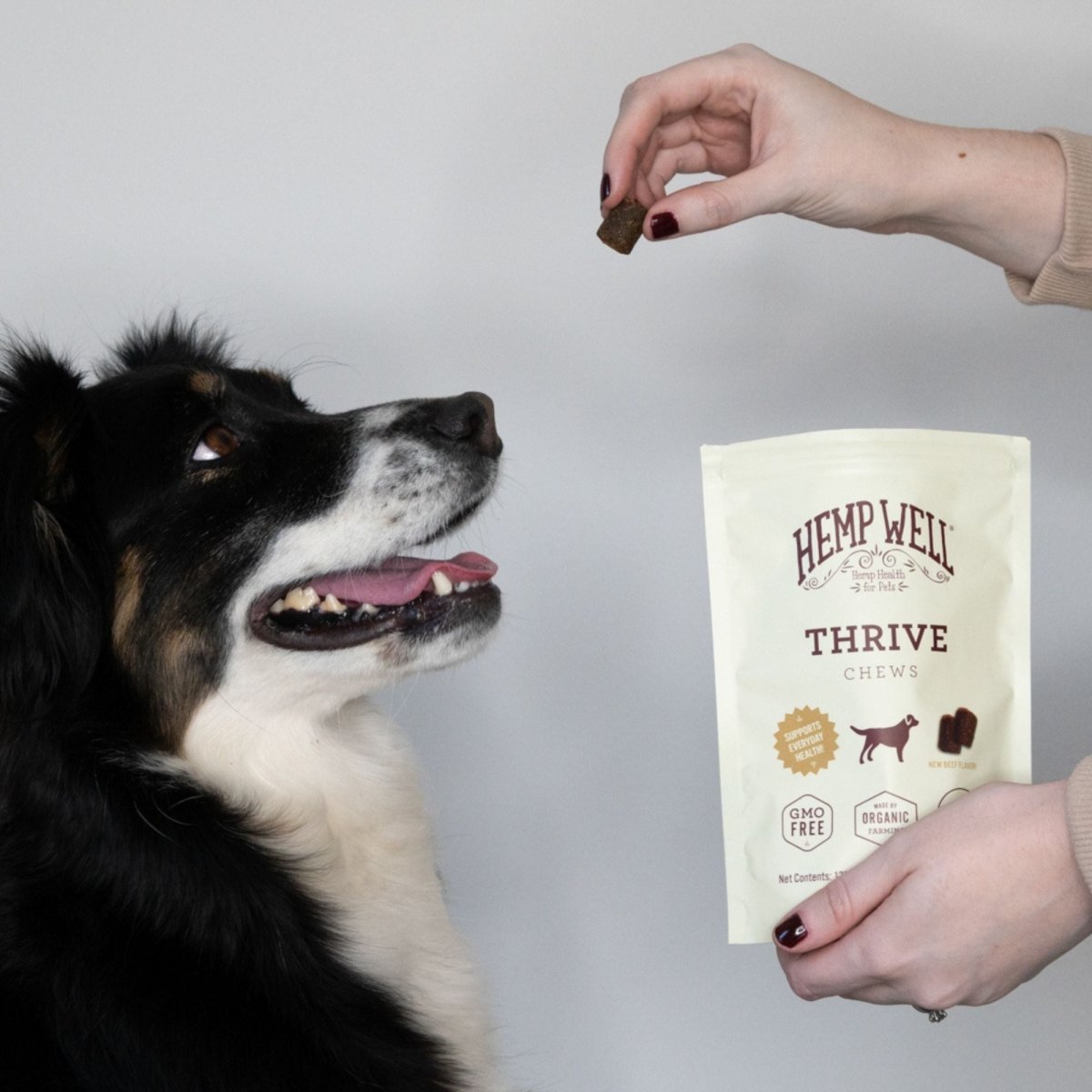 Thrive Dog Soft Chews - Hemp Well dog dog treats hemp