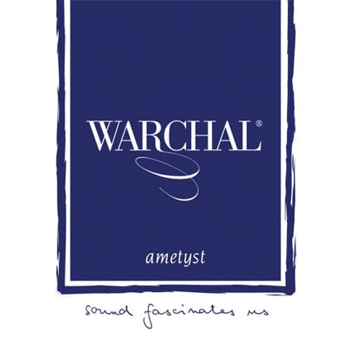  Warchal Ametyst Violin D String 