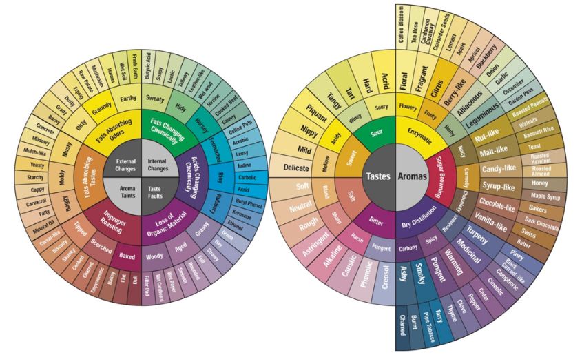 Coffee Wheel