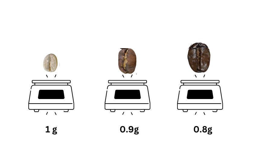 5 Types of Coffee Roasts | The Ultimate Guide 2023