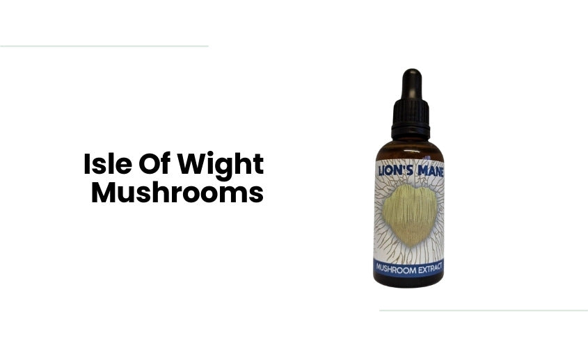 Best Lion's Mane supplements UK Isle Of Wight Mushrooms