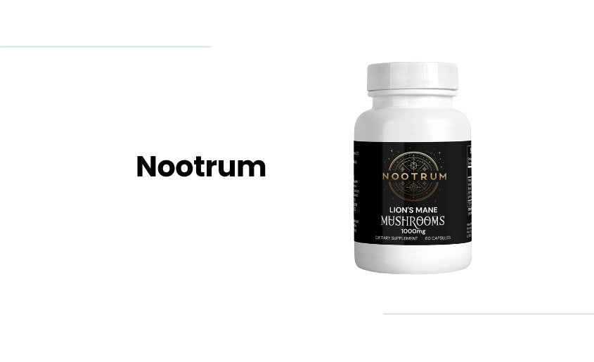 Best UK Lion's Mane supplements Nootrum