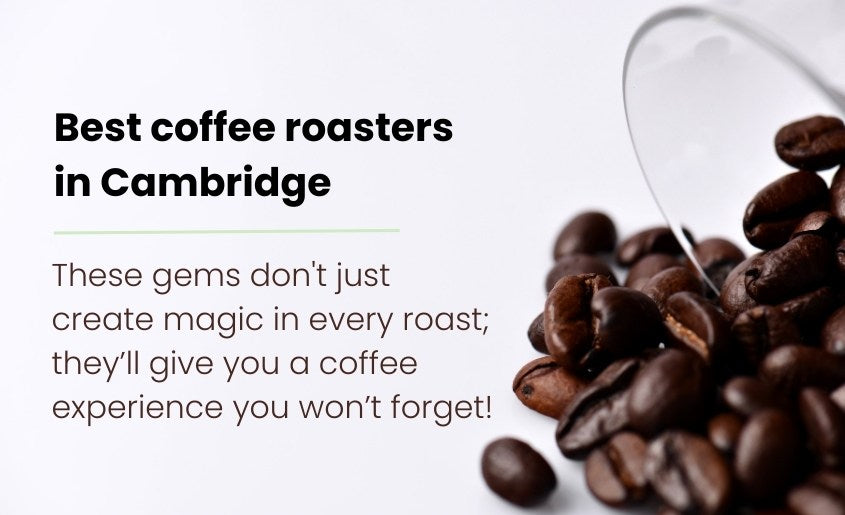 Best coffee roasters in Cambridge