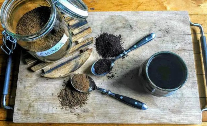 Chaga Mushroom Coffee Grounds